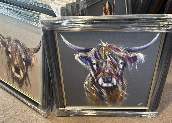 The White Bull